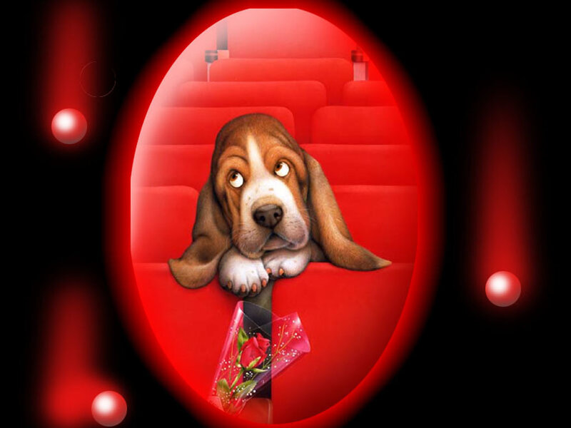 Basset Hound Puppy — Red, Dramatic