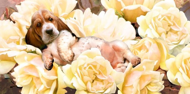 Basset Hound Puppy — Yellow, Serene
