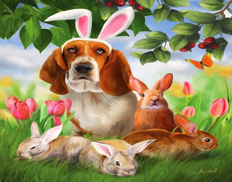 Basset Hound with Bunnies