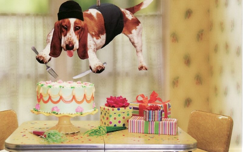 Basset Hound with Cake — Yellow