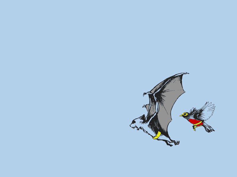 Bat and Bird Flying — Blue