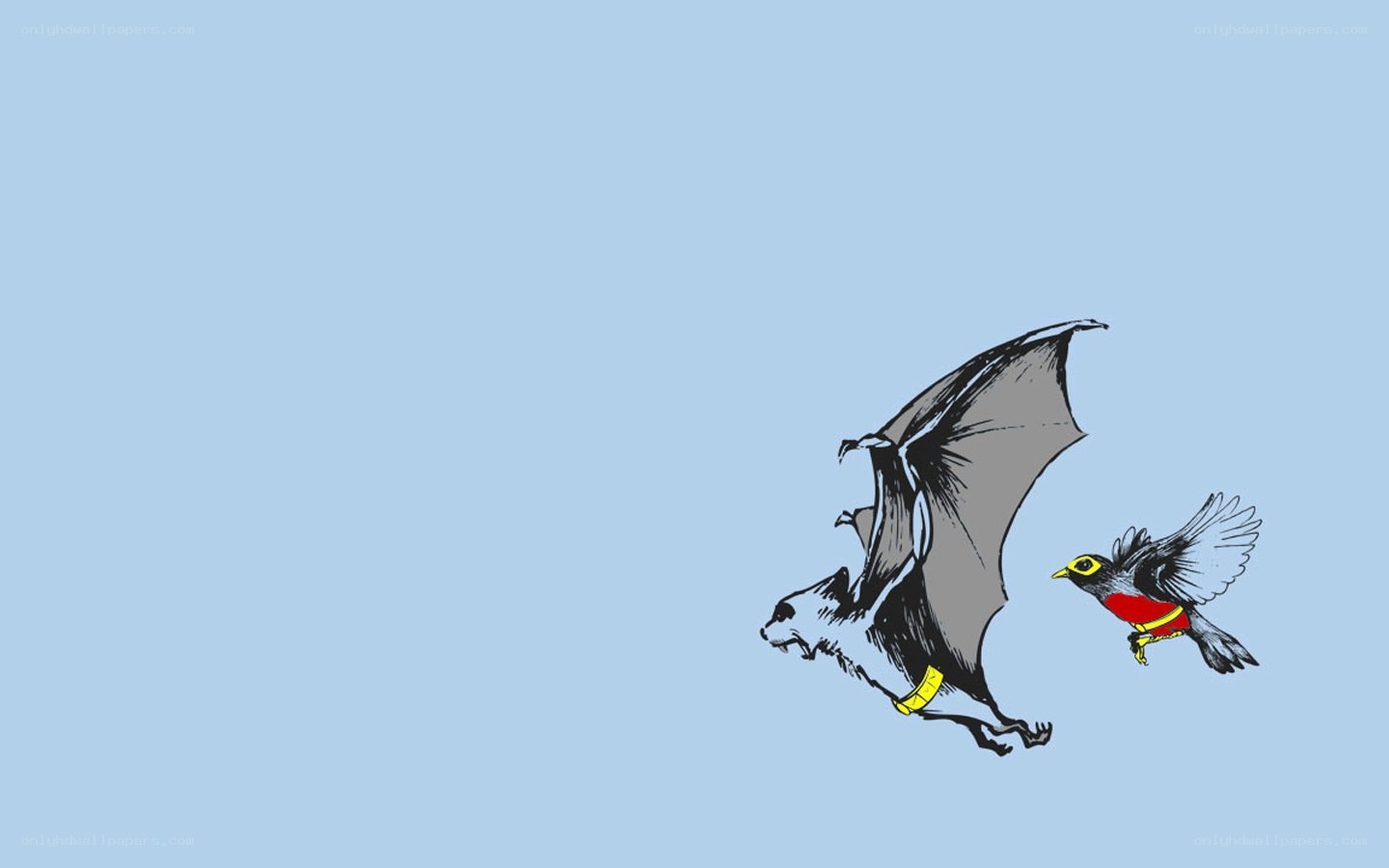 bat and bird in flight