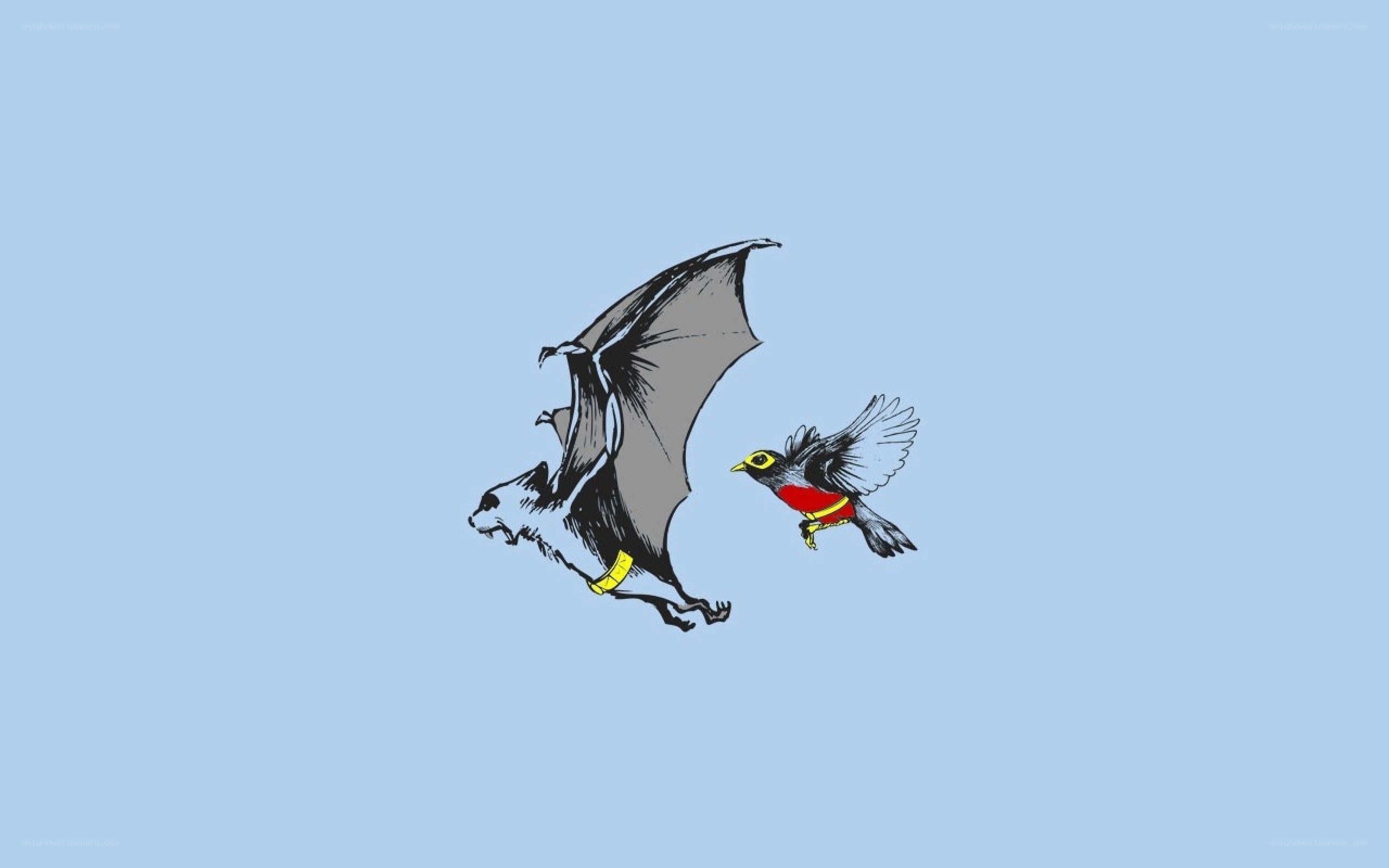 bat and bird in flight