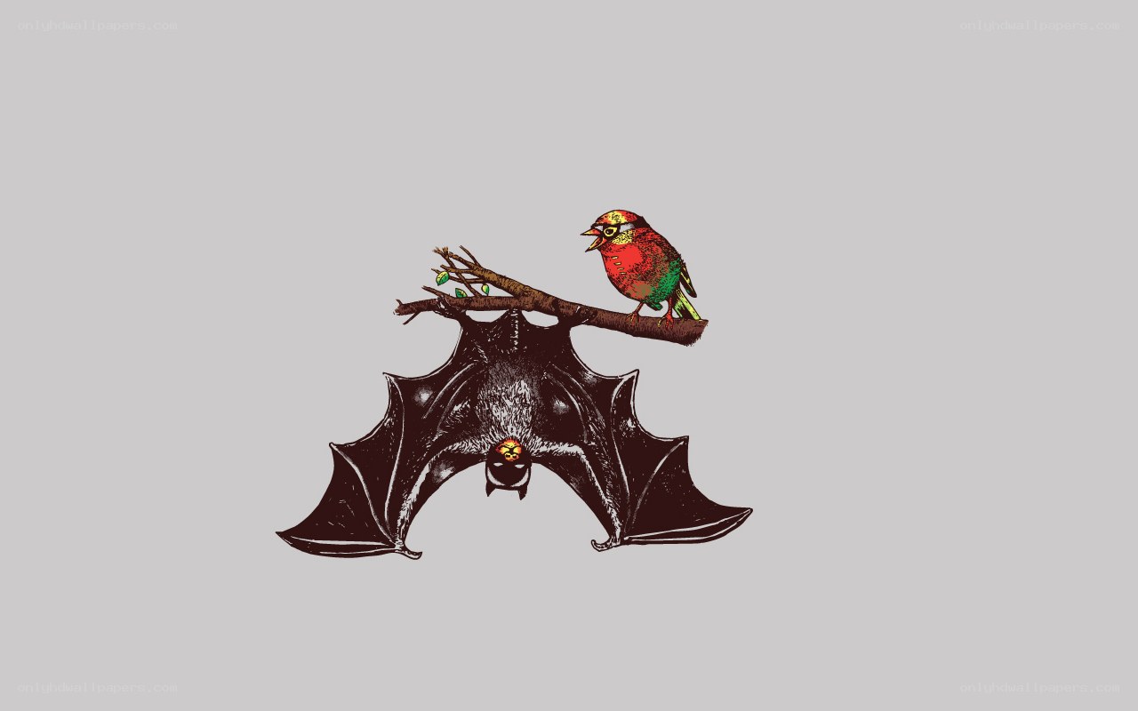 bat and bird on a branch