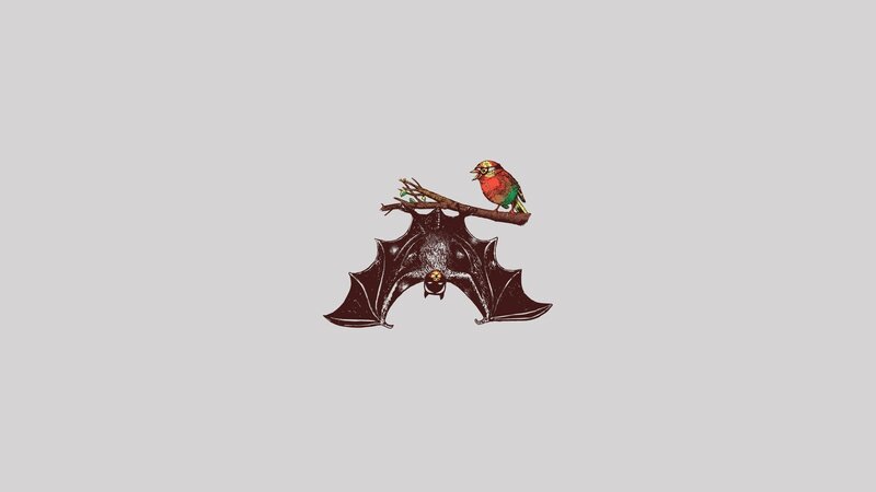 Bat and Bird on Branch — Gray, Calm