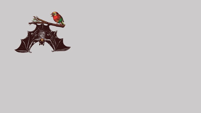 Bat and Bird on Branch