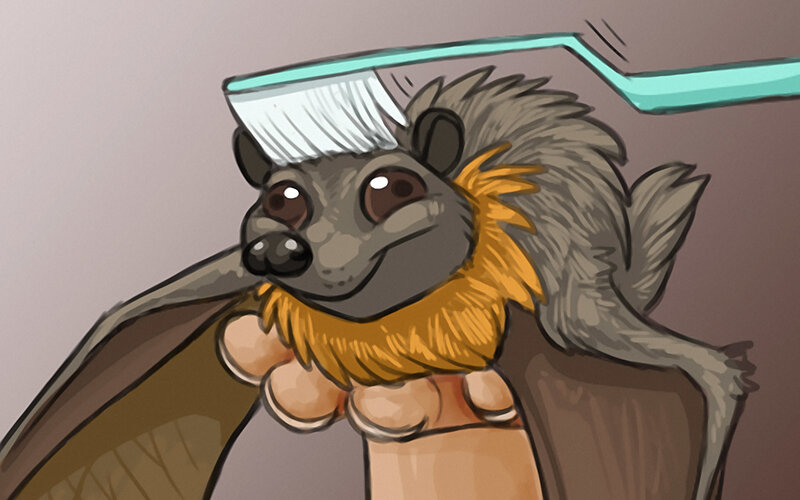 bat being brushed