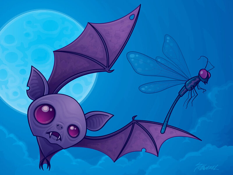 bat chasing a dragonfly