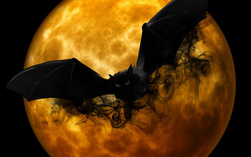 Bat Flying in Front of Moon