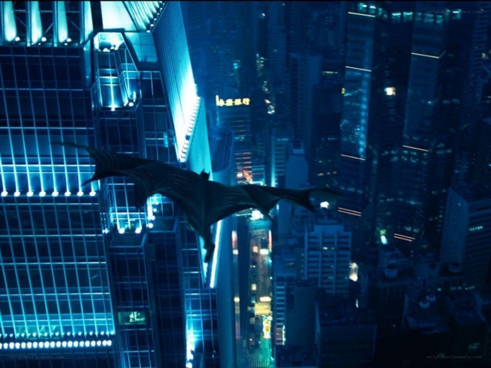 Bat flying over city at night