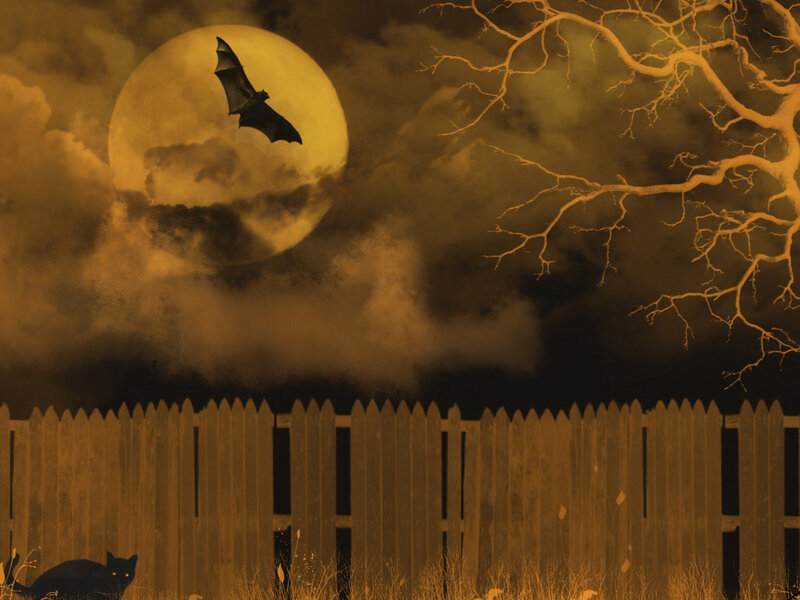 Bat Flying over Fence