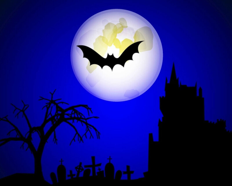 Bat in Full Moon