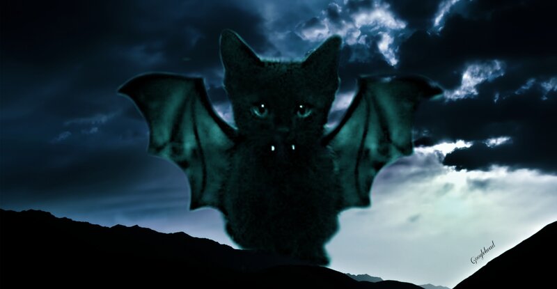 Bat-like Cat in Night Sky