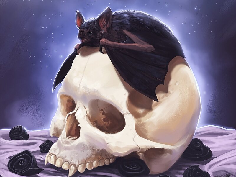 Bat on Skull