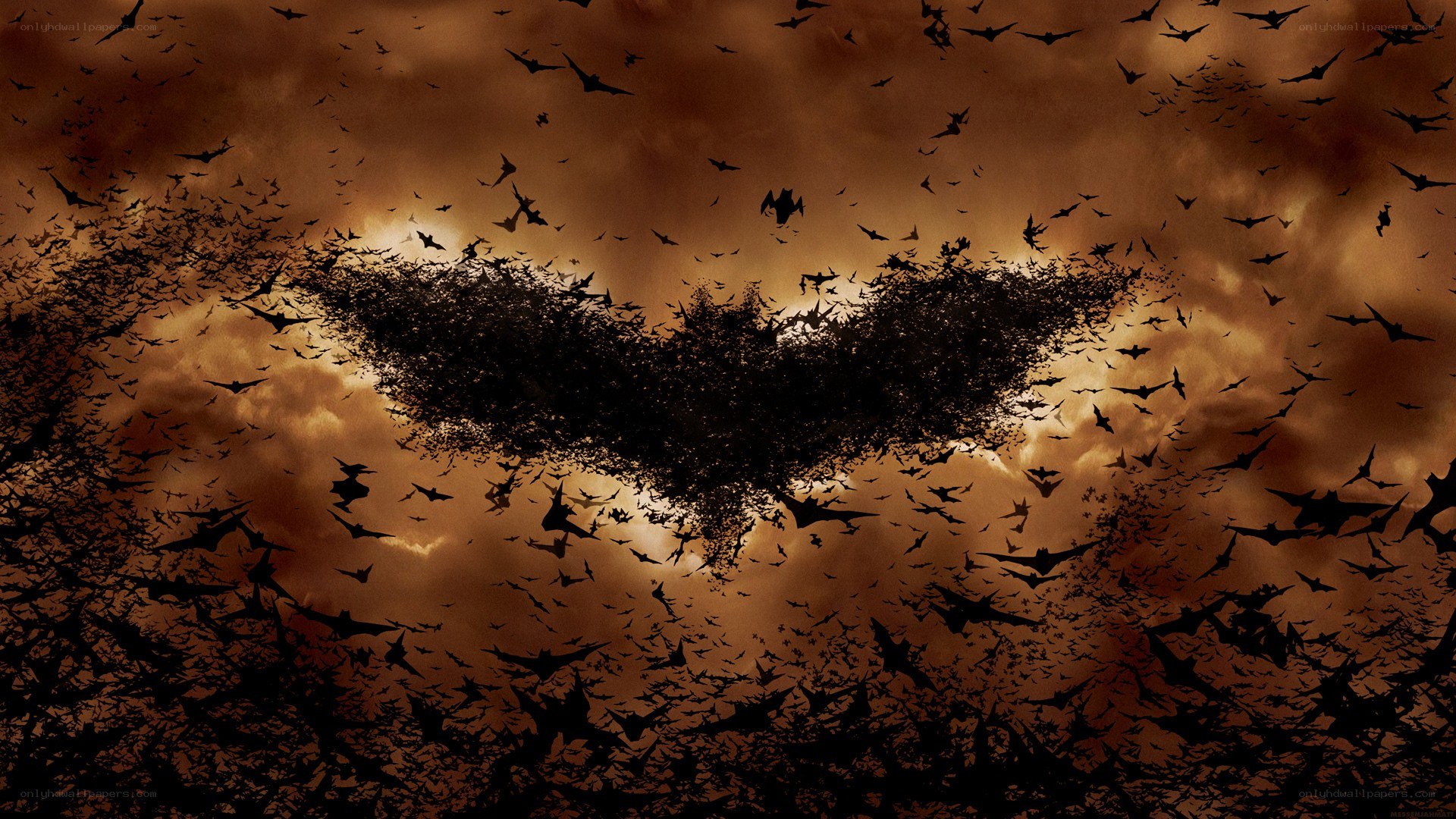 Bat swarm forming logo