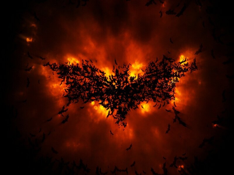 Bat Symbol Made of Bats