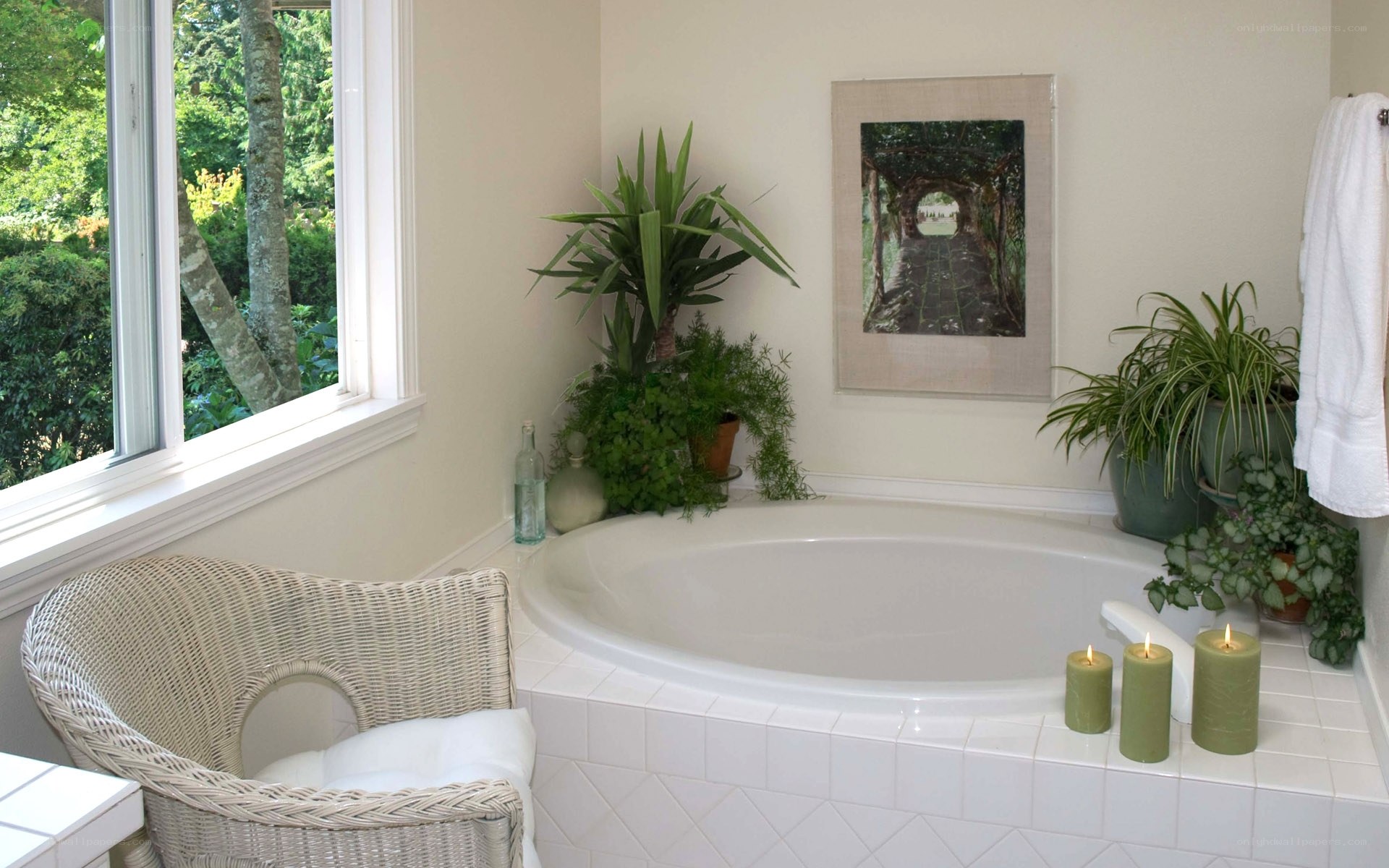 Bathroom with bathtub and plants
