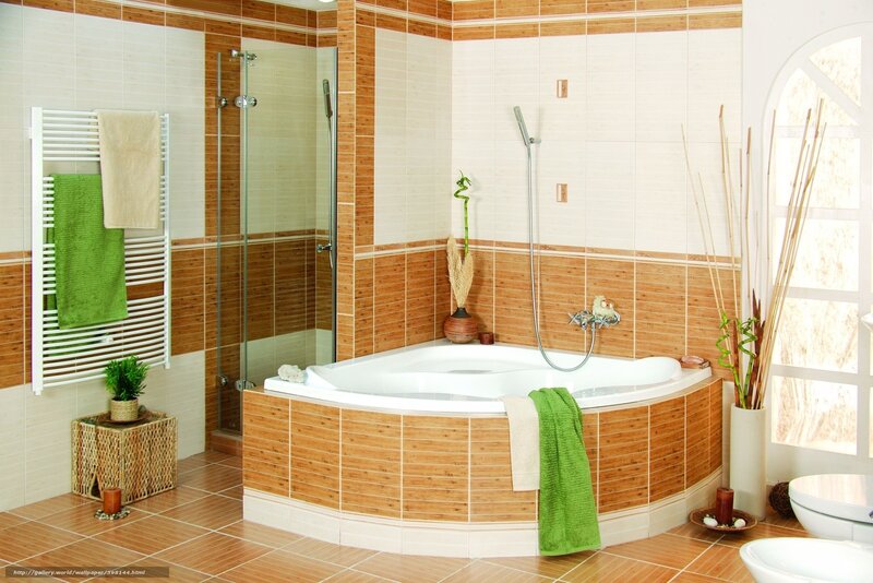 Bathroom with Bathtub — Brown