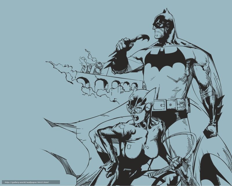 Batman and Catwoman in action