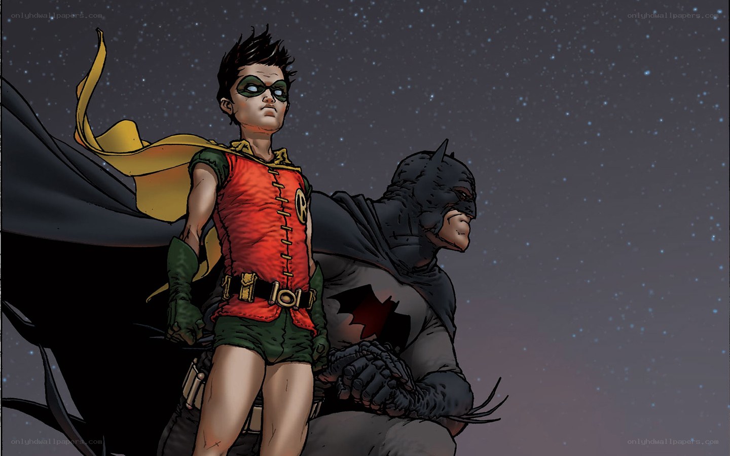 Batman and Robin stand together