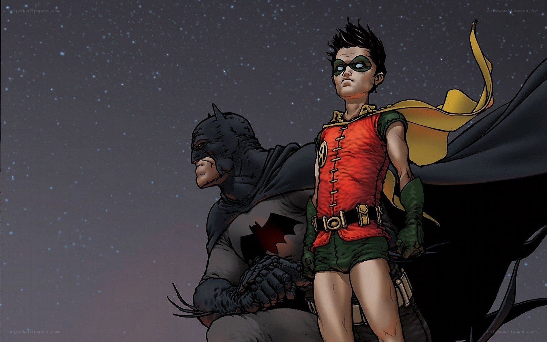 Batman and Robin stand together