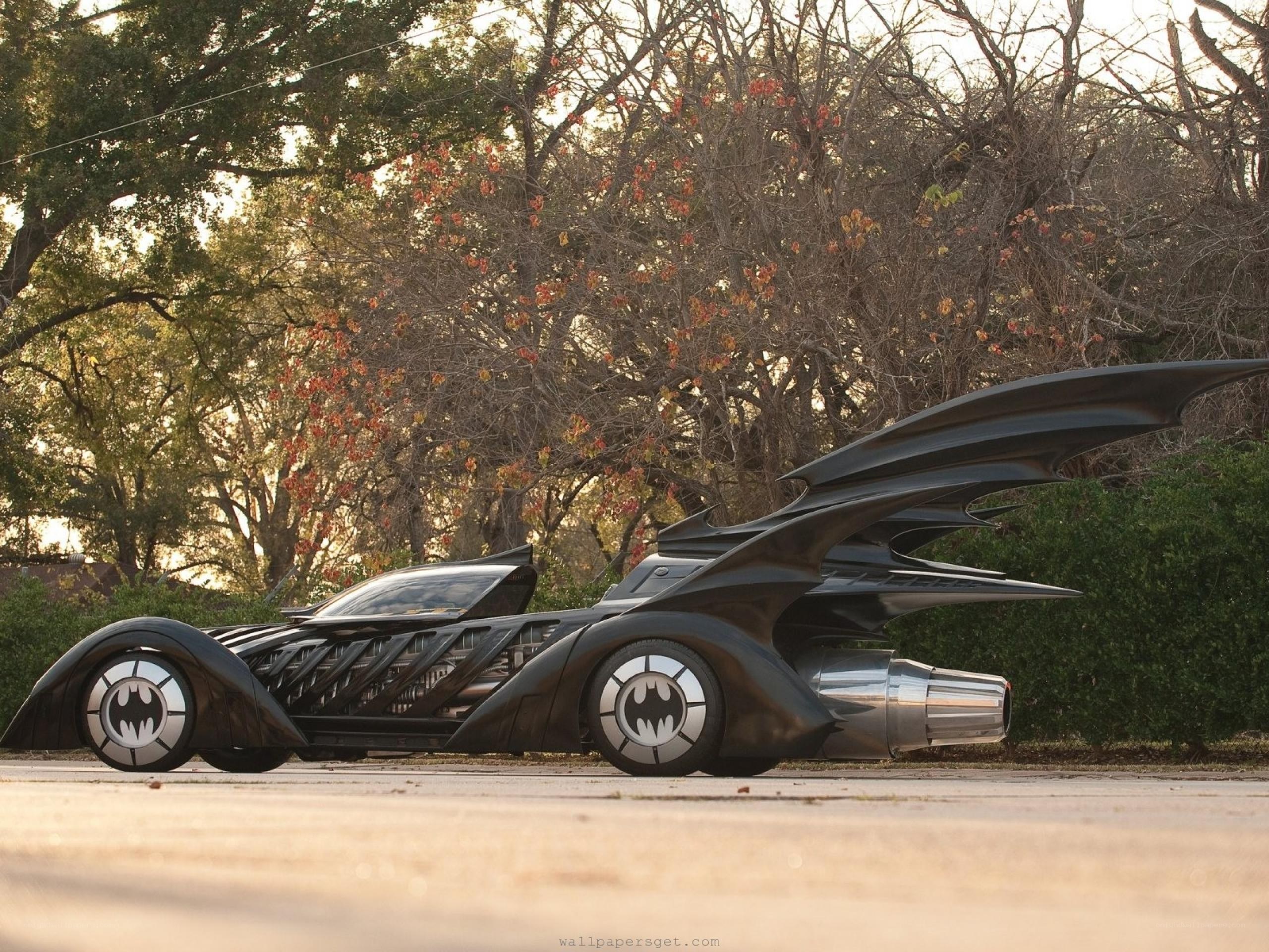 Batman car in a park