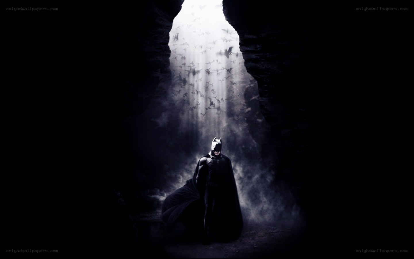 Batman in a cave with bats