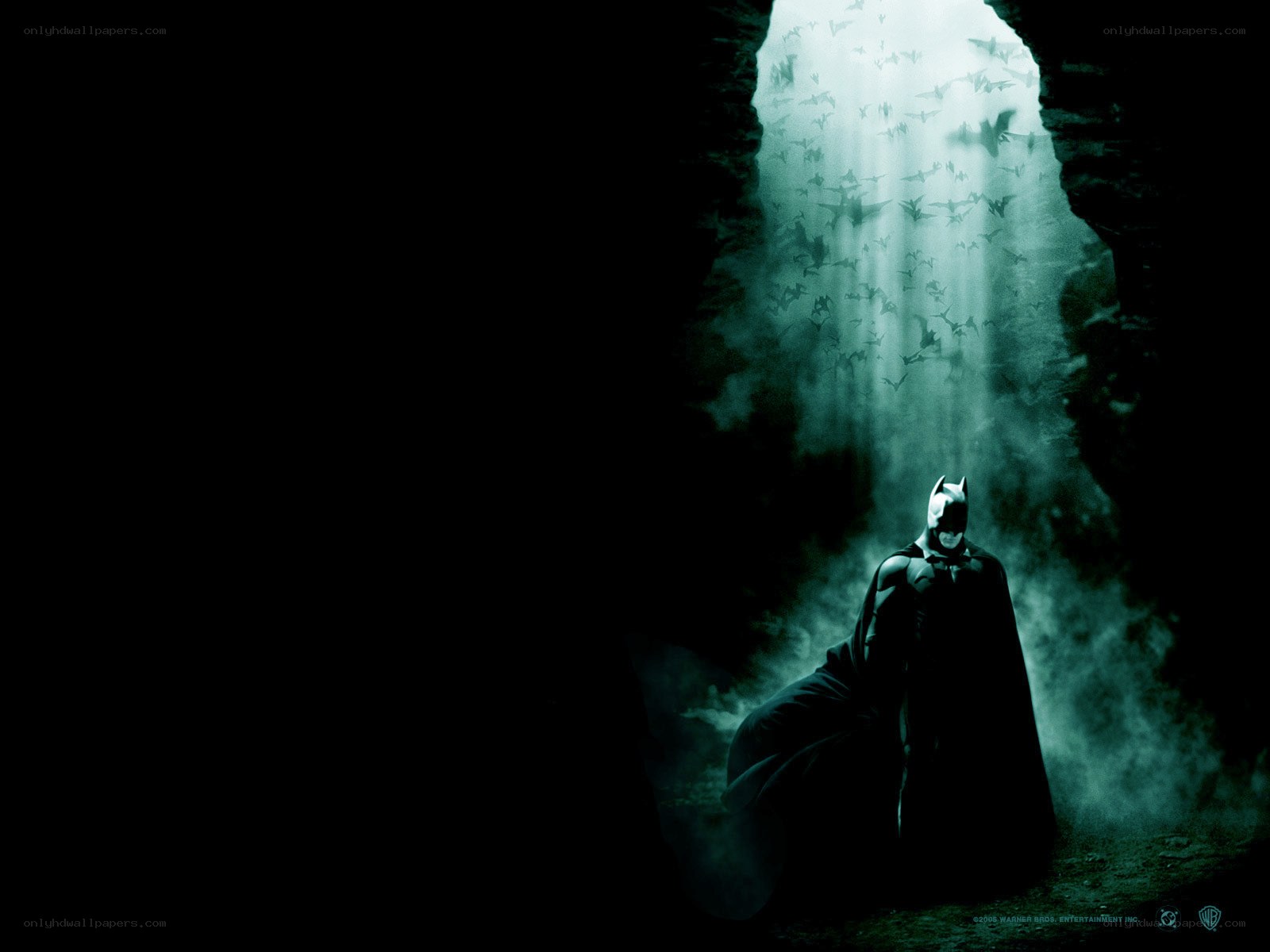 Batman in a cave with bats
