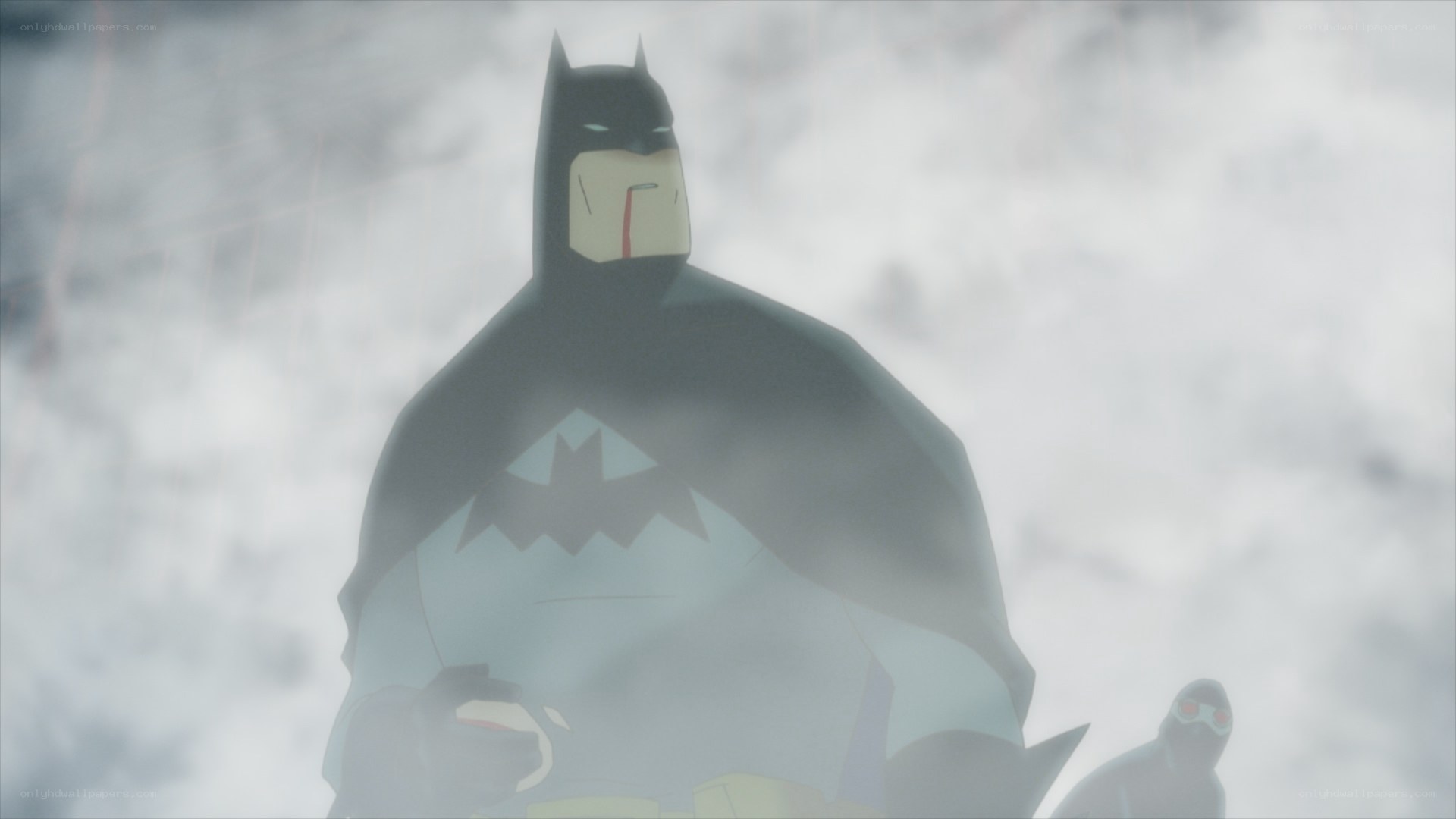 Batman in the mist