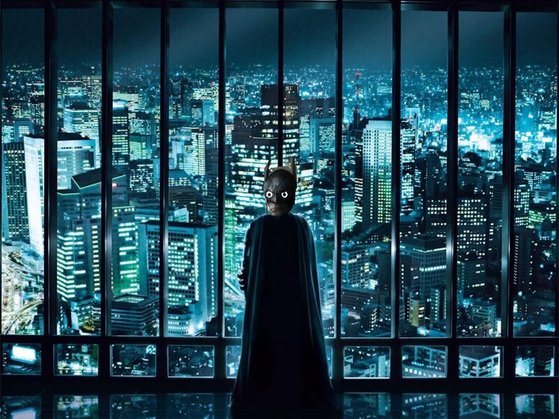 Batman overlooks a city at night