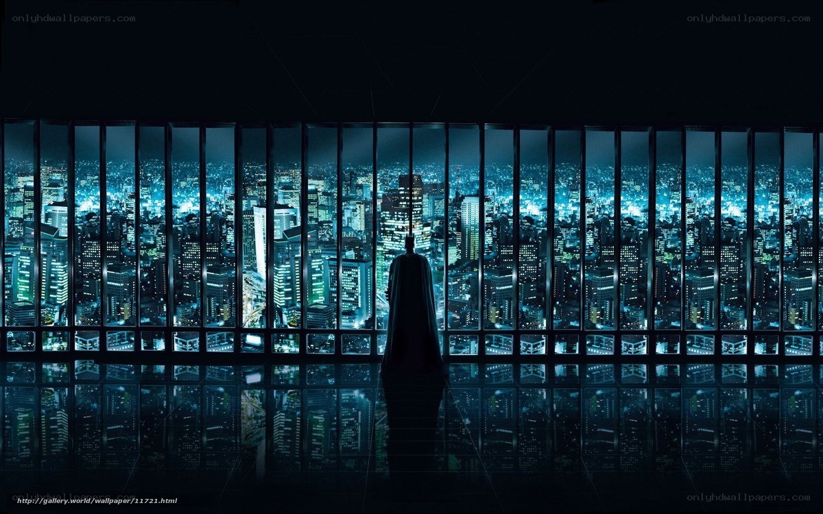 Batman overlooks city at night