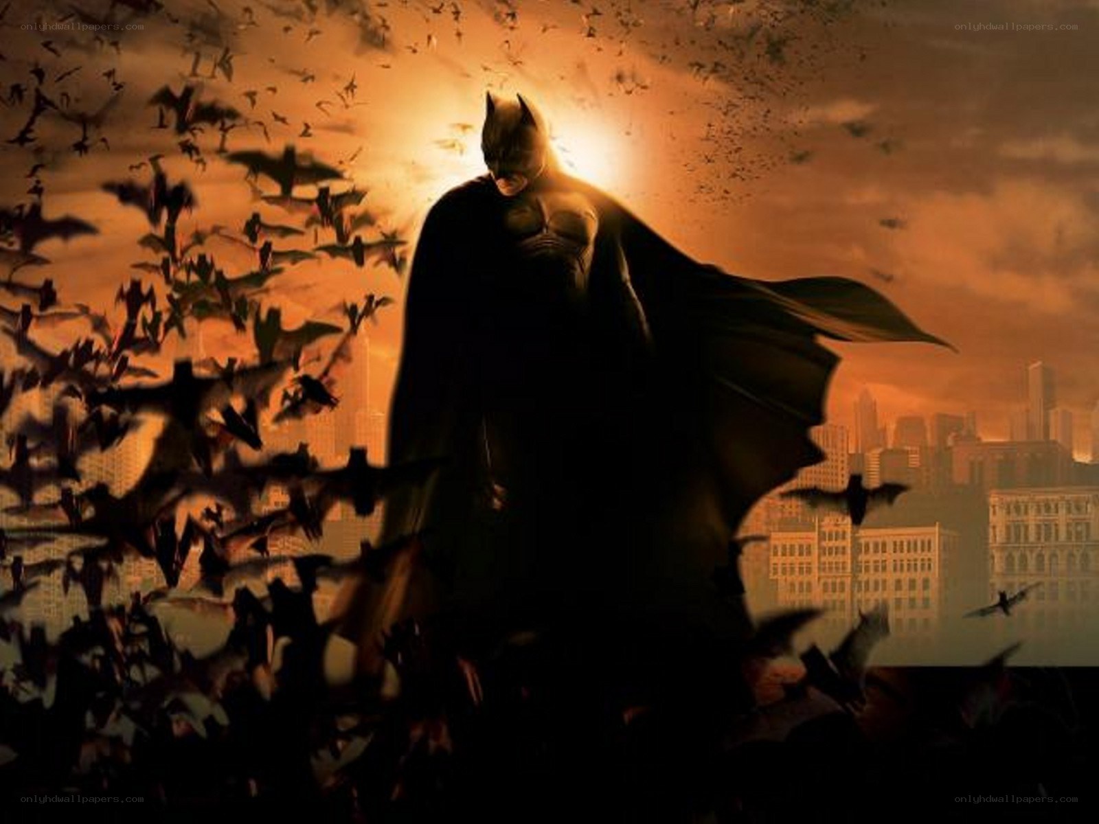 Batman silhouette with bats