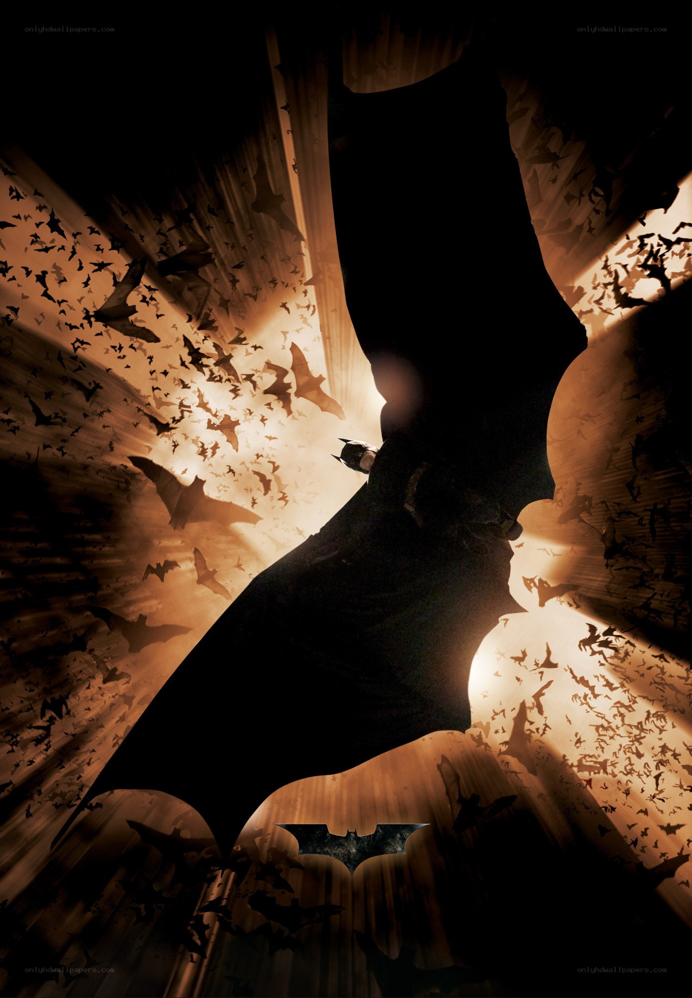 Batman silhouette with bats