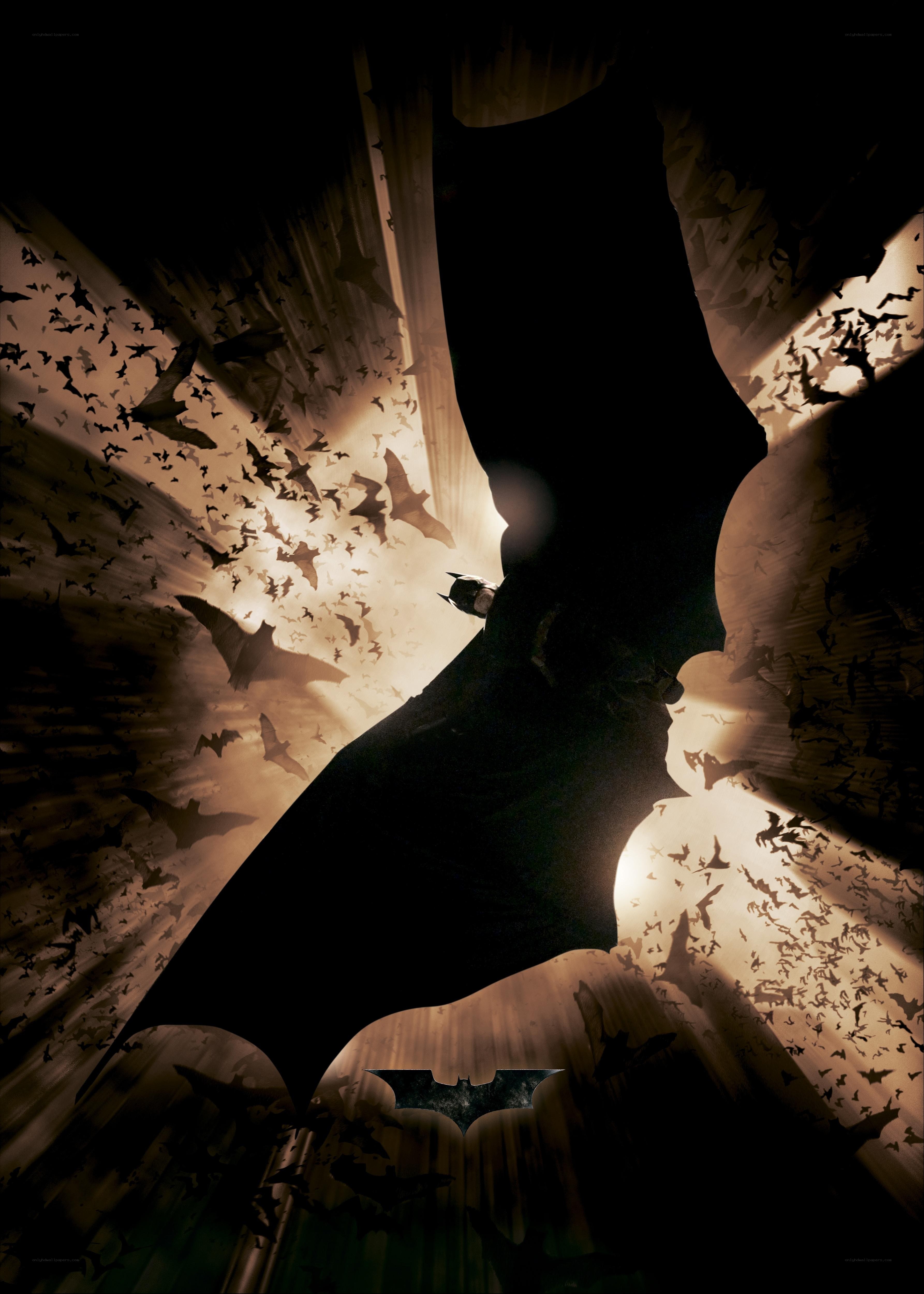 Batman silhouette with bats