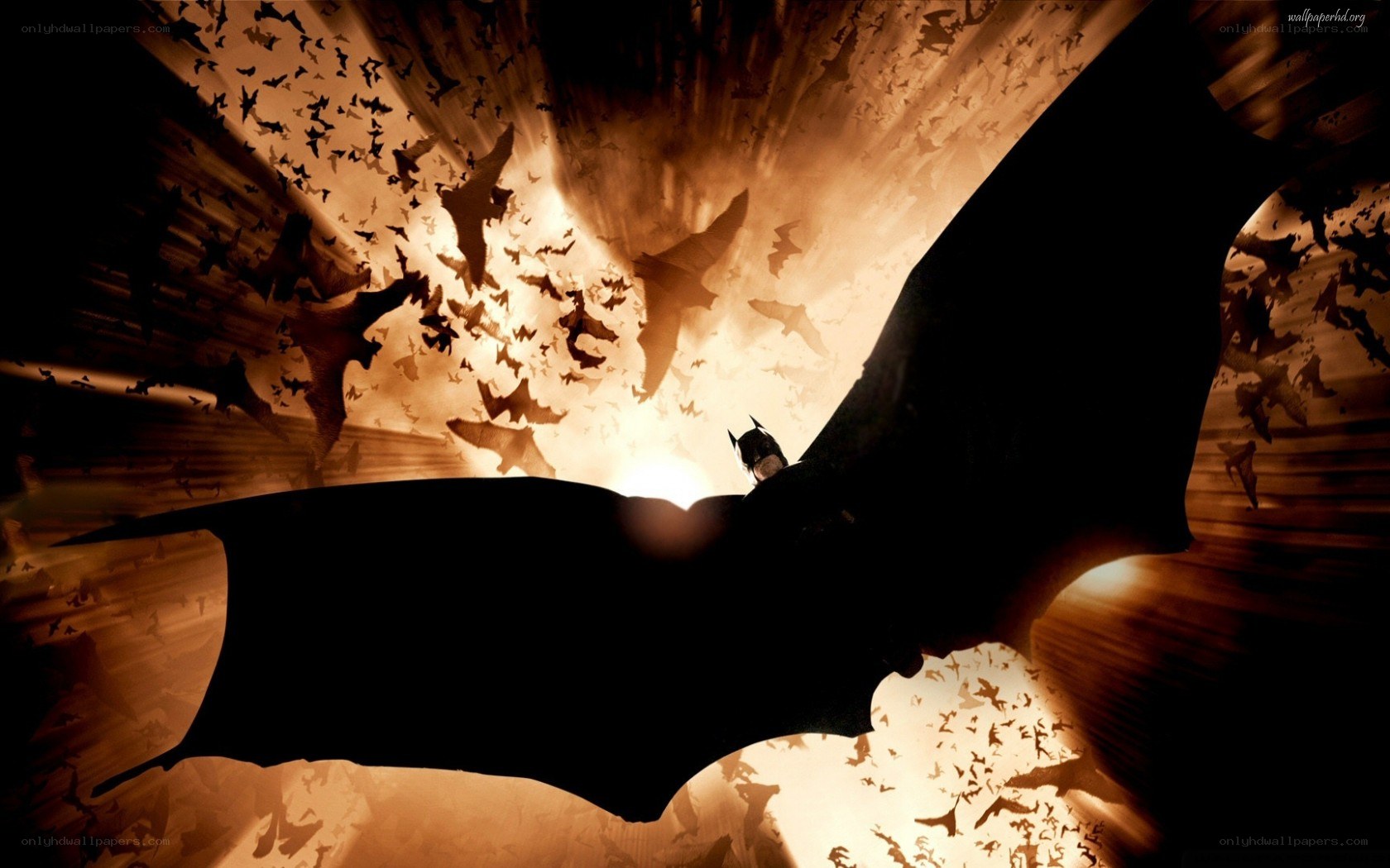 Batman silhouette with bats