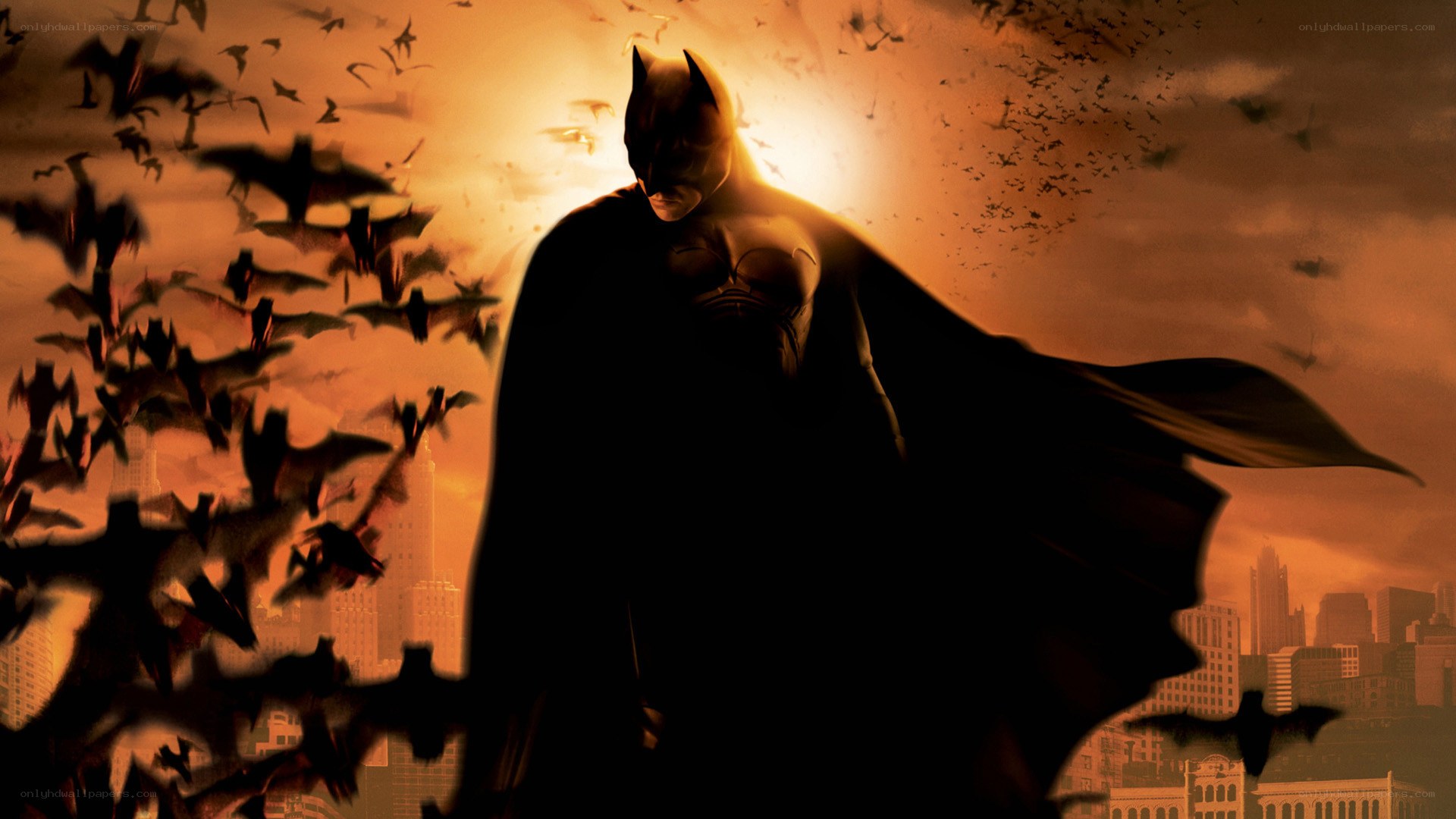 Batman stands against bats