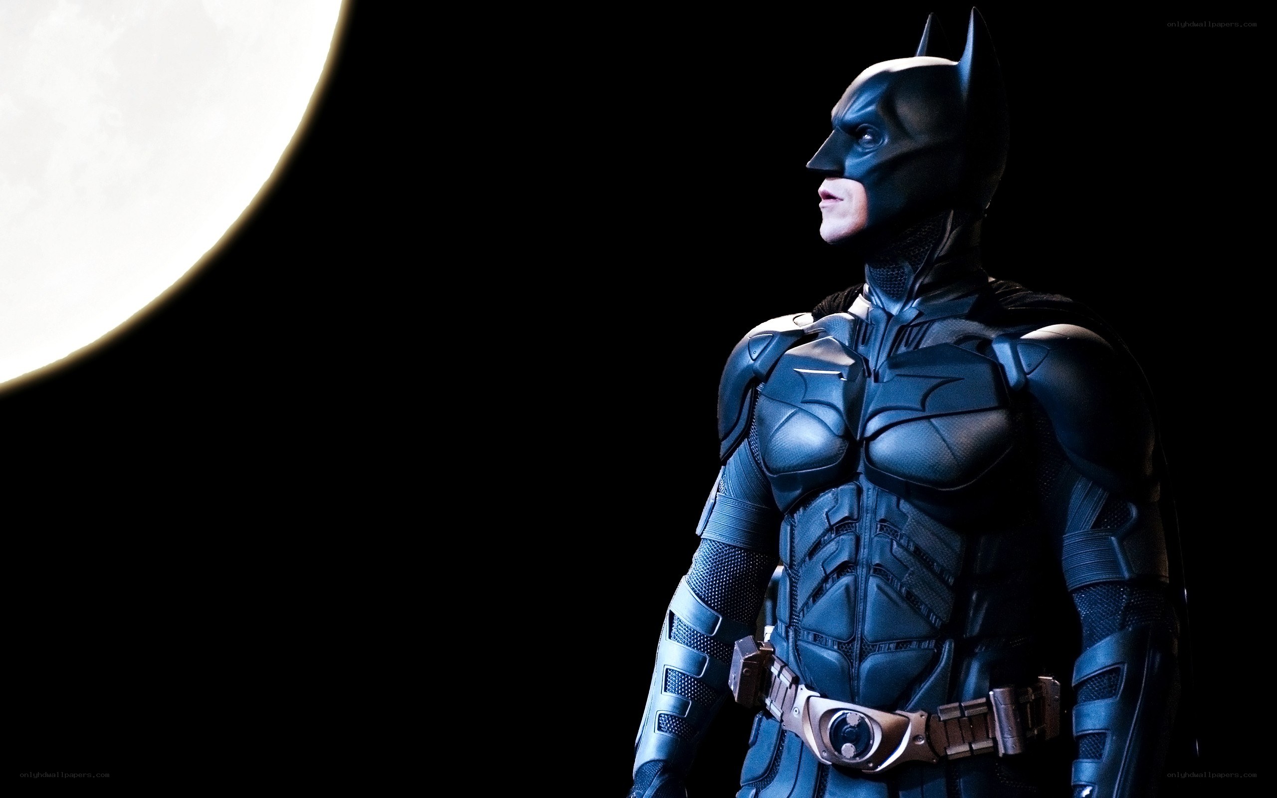 Batman stands in moonlight