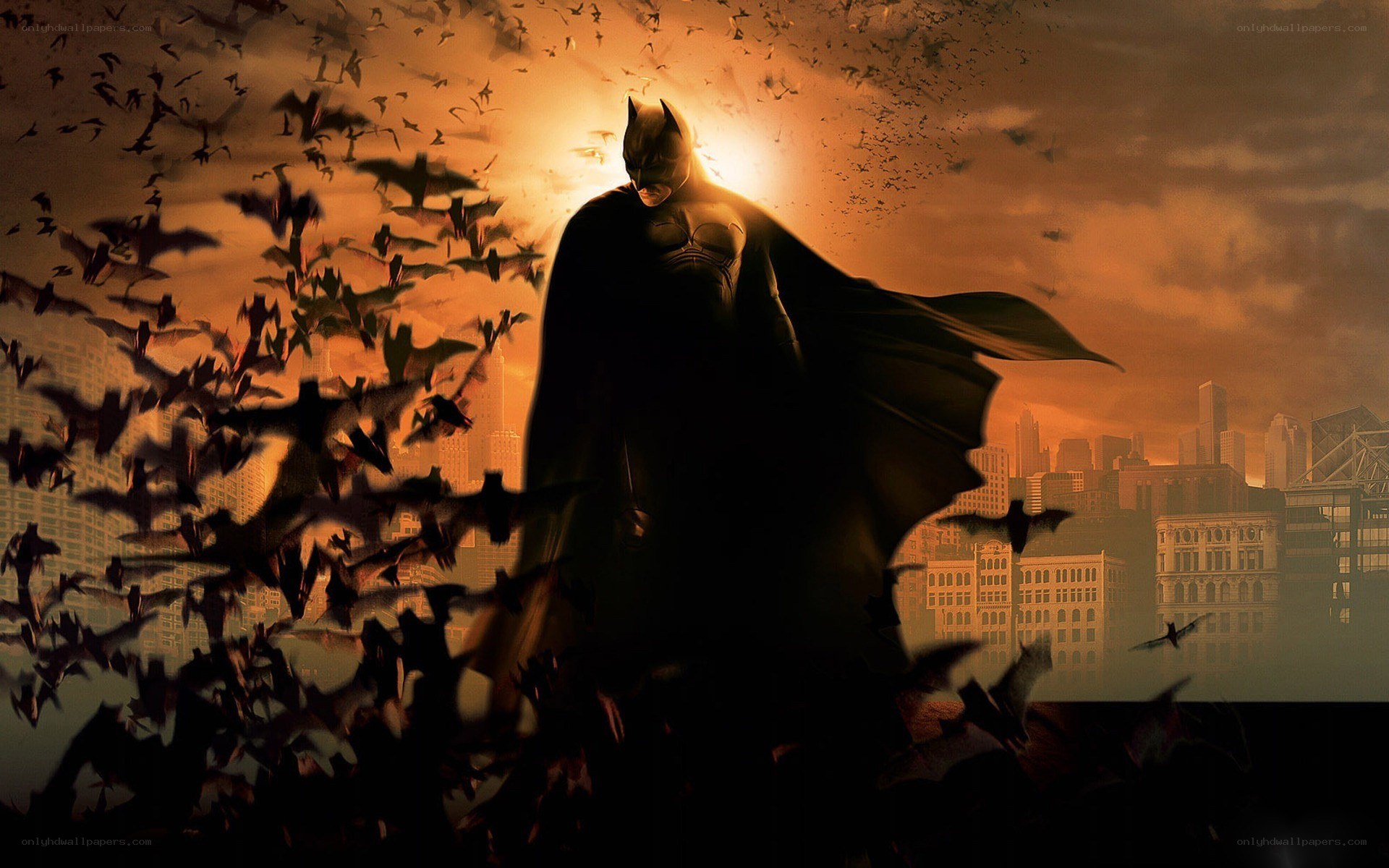 Batman with bats at sunset