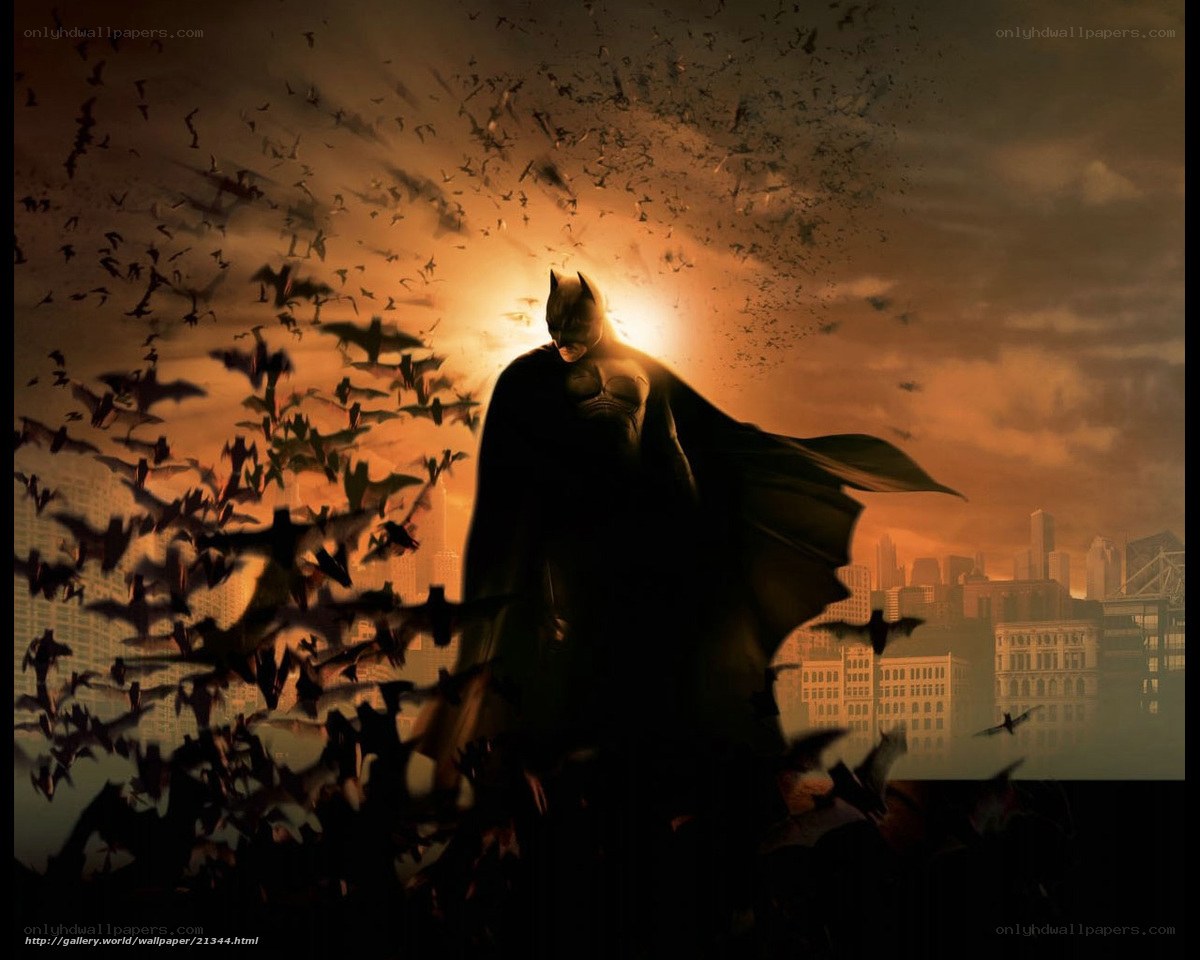 Batman with bats at sunset