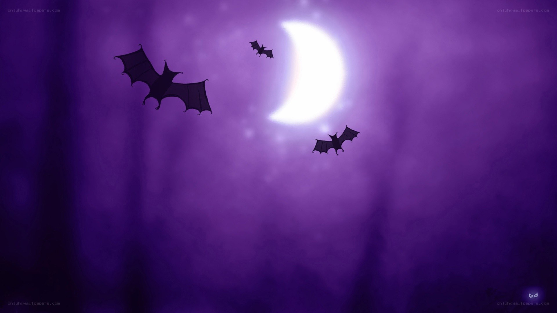 bats flying at night