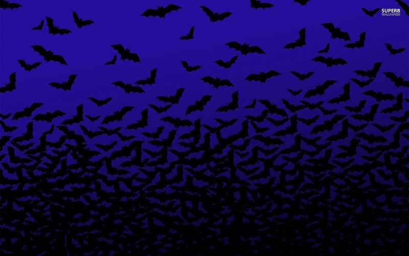 bats flying at night