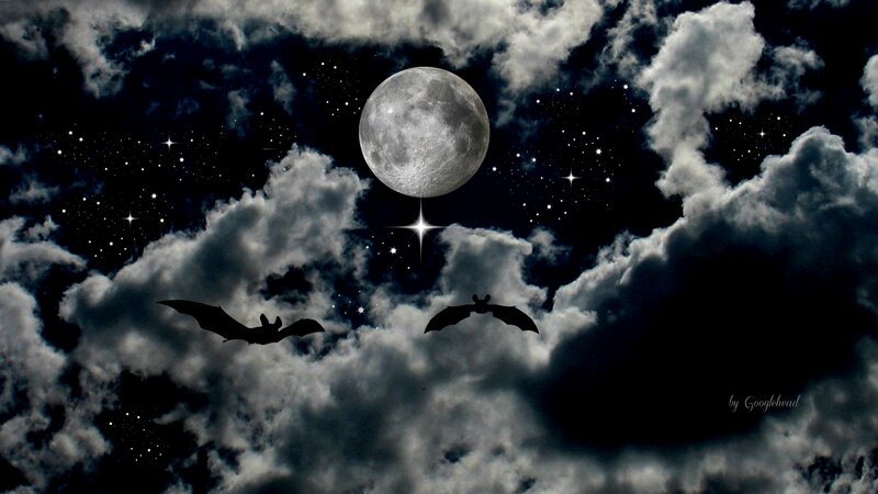 Bats Flying at Night — Black, Dramatic, Digital Art