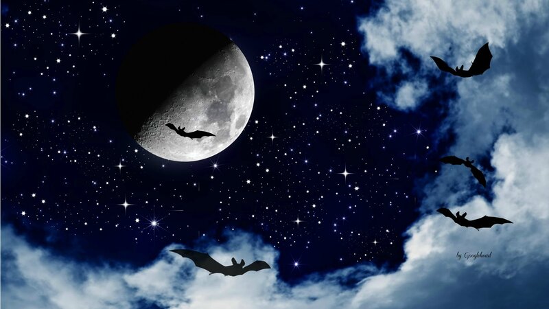 Bats Flying at Night — Blue, Dark, Digital Art