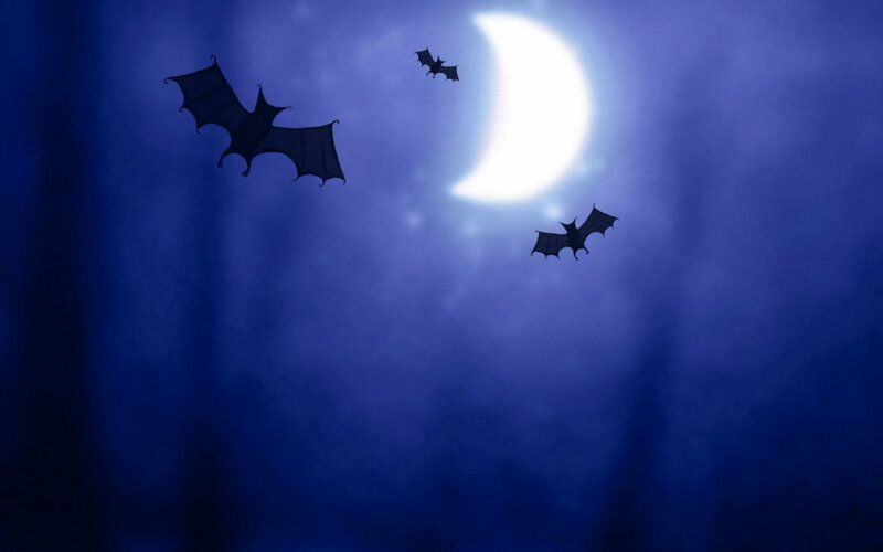 Bats Flying at Night — Blue, Dark