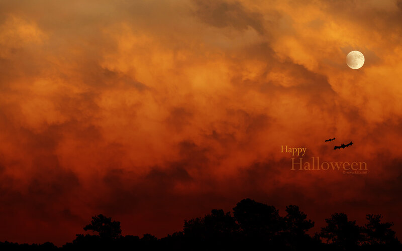 Bats Flying at Night — Orange