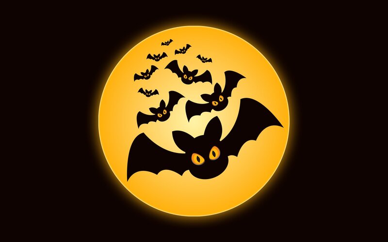 bats flying in front of moon