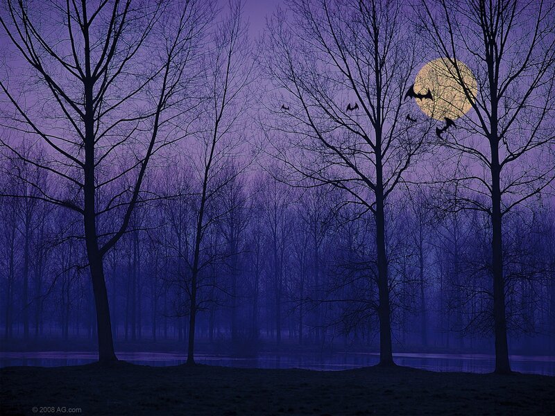 Bats Flying over Lake