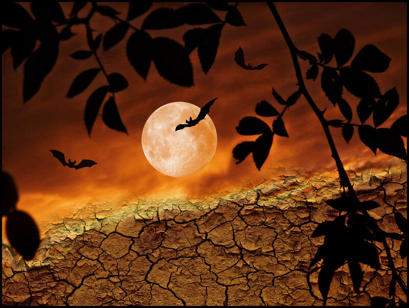 Bats Flying over Moon