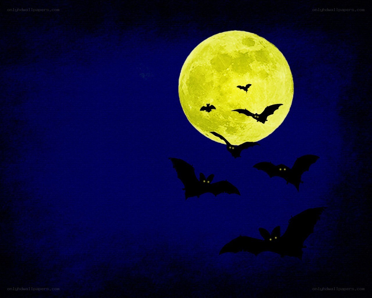 bats flying under full moon