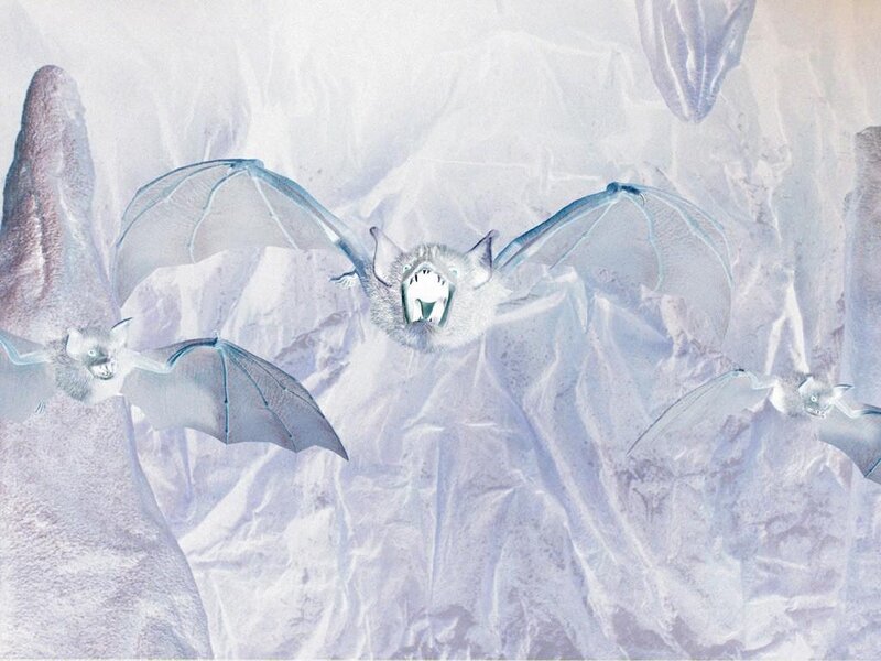 Bats in a cave